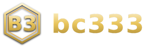 bc333 logo